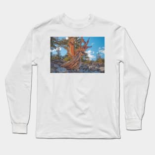 850_6879 Long Sleeve T-Shirt